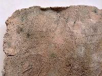 pianezzola dett.jpg