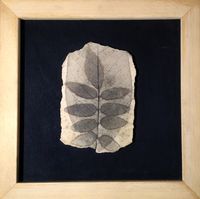 FullSizeRender (1).jpg