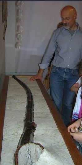 Gioventù5.jpg