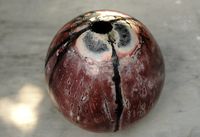 Azzaretti vaso1bis.jpg